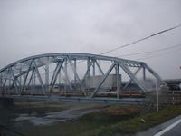 久し振りの雨