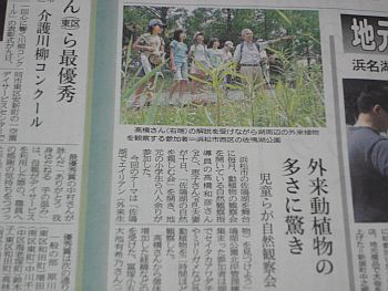 地味な活動