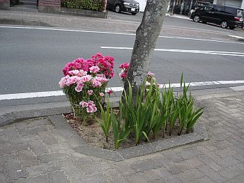 いい人