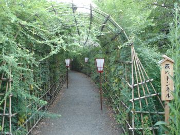 向島百花園