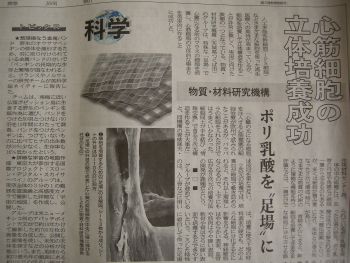 心筋細胞