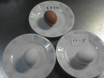 たまごの比較　その１