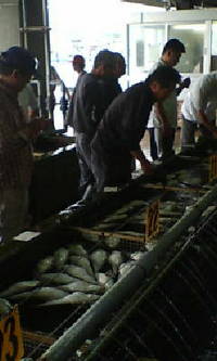 舞阪漁港vol.2 2007/10/12 00:56:49