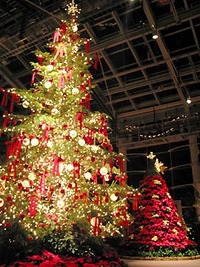 イルミネーション 2009/12/12 23:29:15