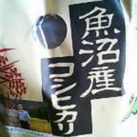 コシヒカリ 2007/07/17 16:36:42