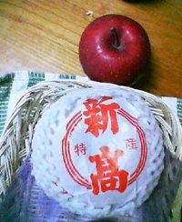 新高なし 2007/10/25 18:24:37