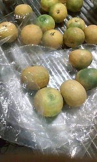 ただ今仕込中 2008/11/06 18:54:52