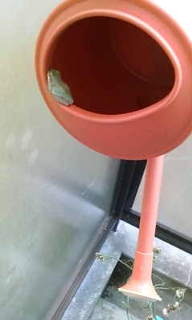 居候？ 2010/04/08 13:35:54
