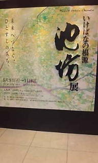 いけばなの根源 2010/06/14 18:52:44