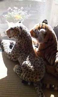 いい天気 2011/12/05 12:27:25