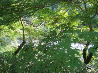 香嵐渓