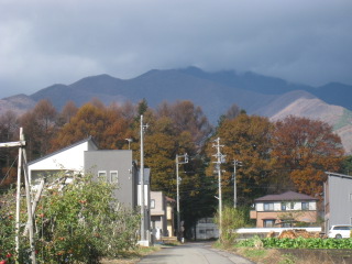 りんごがり２０１１