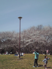 佐鳴湖公園！ 2012/04/02 13:31:02