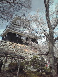 浜松城の桜 2012/04/04 14:05:05