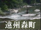 鮎釣り、あじさい、花菖蒲の季節ですね