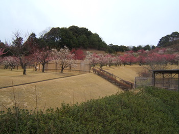 春近し