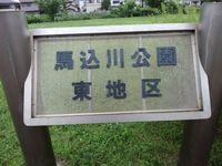 きょうの散歩 2019/06/30 15:25:48