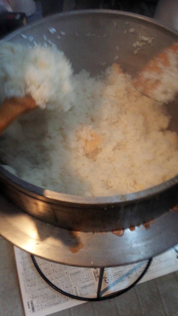 森林保護活動のはずが・・・