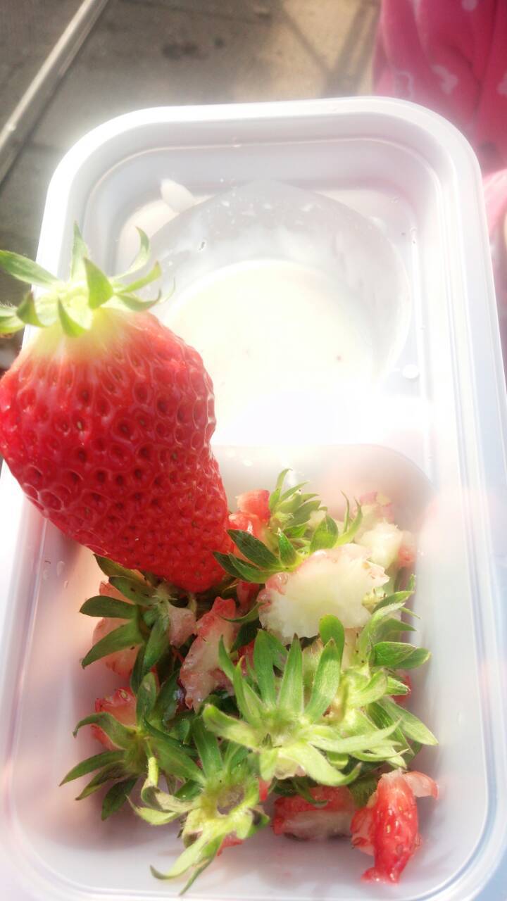イチゴ狩り