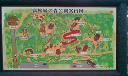 長～い滑り台