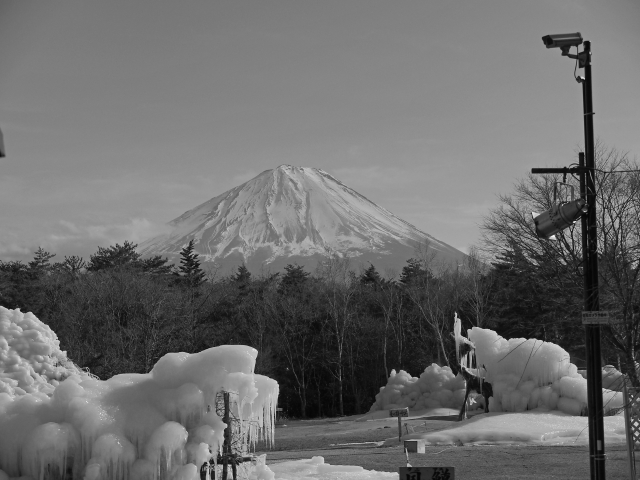 2017年2月8日の富士山　　西湖　野鳥の森公園　