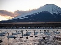 2018年1月25日の富士山　　山中湖