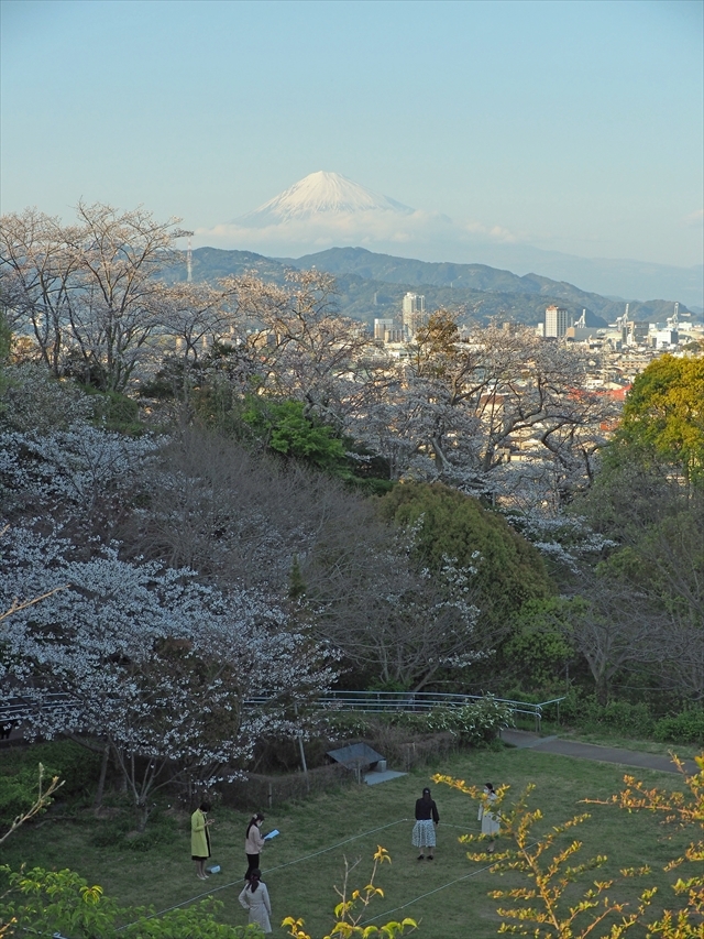 020年4月6日の富士山　清水船越堤公園