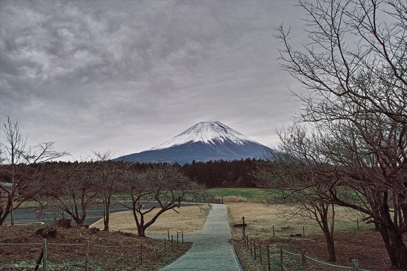 2022年11月24日の富士山　　　朝霧高原 富士山展望