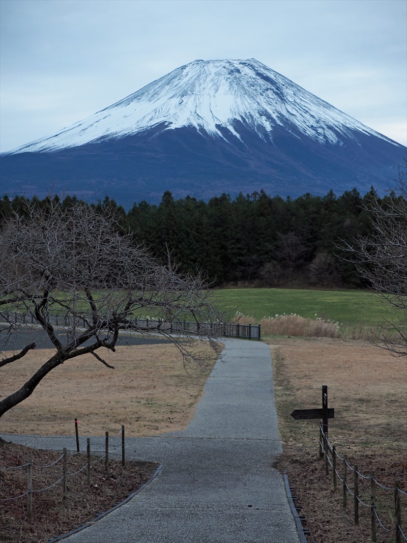 2022年11月24日の富士山　　　朝霧高原 富士山展望