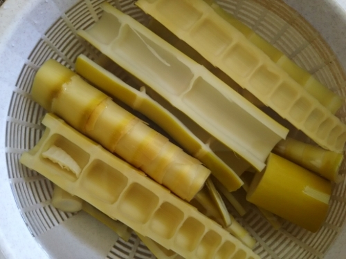 はちこ 淡竹