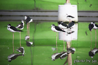 掛川花鳥園 2021/11/09 10:10:00