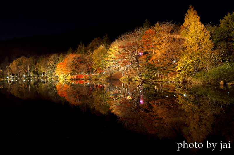 茶臼山 紅葉ライトアップ L 袋井市写真クラブ