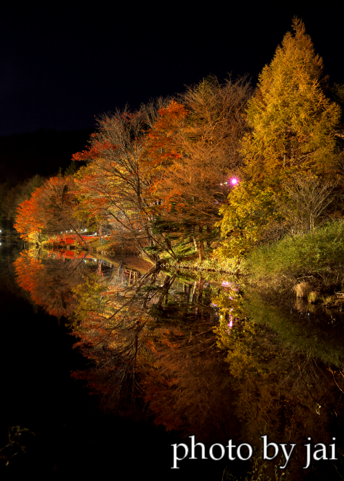 茶臼山 紅葉ライトアップ L 袋井市写真クラブ