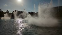 浜松市フラワーパーク 噴水 2022/09/26 14:05:25
