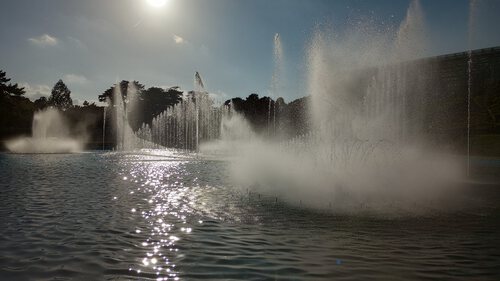 浜松市フラワーパーク 噴水