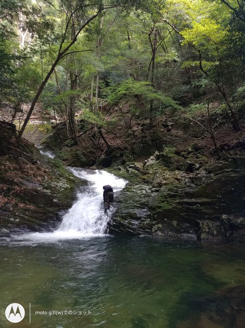 沢登り