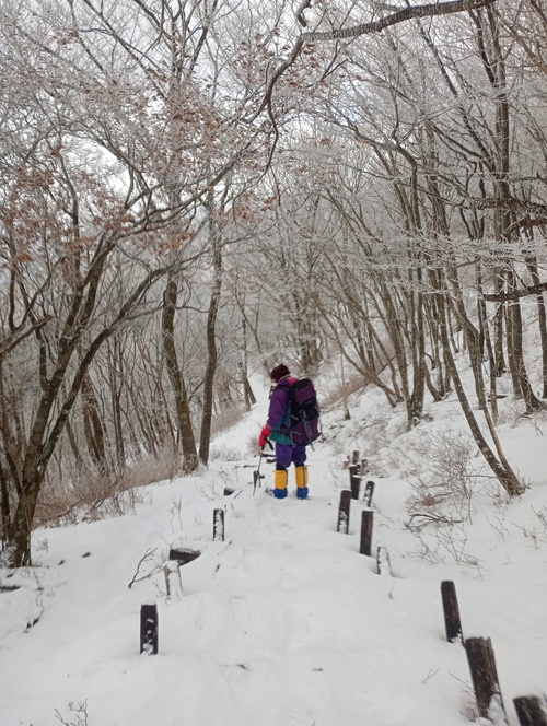 竜頭山 雪 浜松市 登山