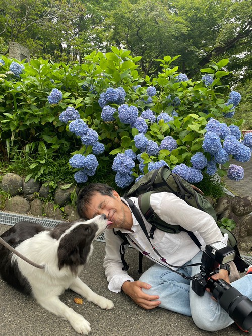 犬ペロペロ