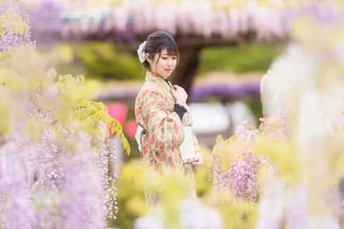 着物ポートレート