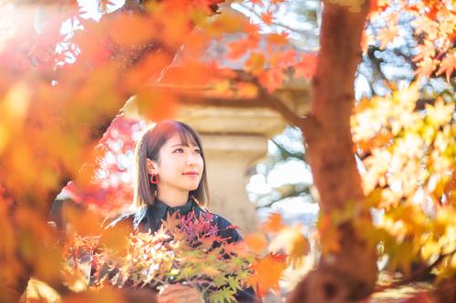 紅葉ポートレート静岡県