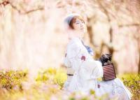 東大山河津桜ポートレート 2022/03/20 10:11:00