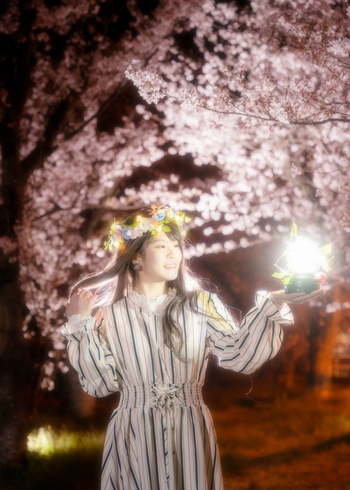 夜桜ポートレート静岡県