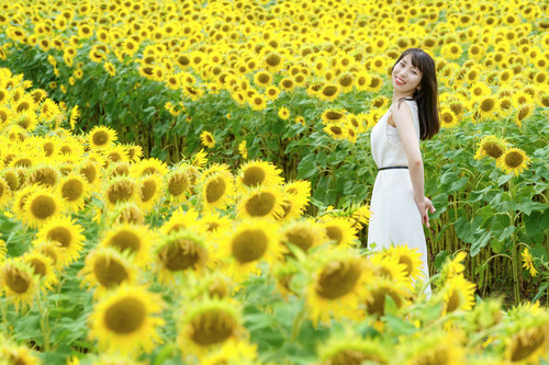 ヒマワリポートレート白ワンピース花