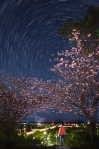 八重桜星軌跡自撮り 2021/04/30 10:05:00
