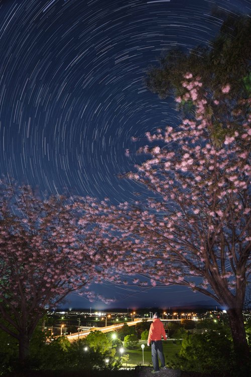 八重桜星軌跡自撮り
