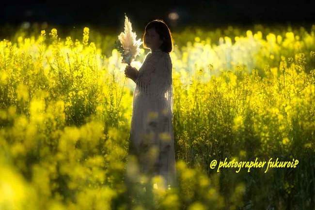 菜の花ポートレート