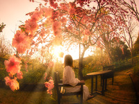 花と夕陽ポートレート 2021/04/10 15:05:00