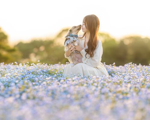 ペット撮影 犬 ネモフィラ
