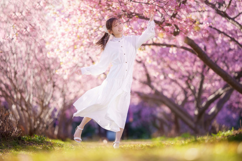 河津桜ポートレート 静岡県