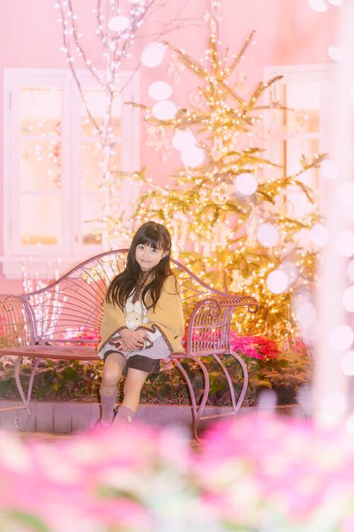 イルミネーションポートレート